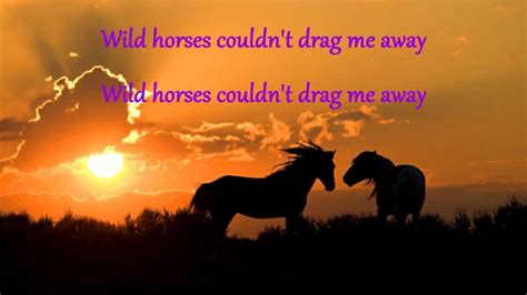 horses in the back lyrics.